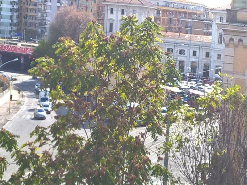 Elegance Scalini Di Trastevere Rome Exterior photo